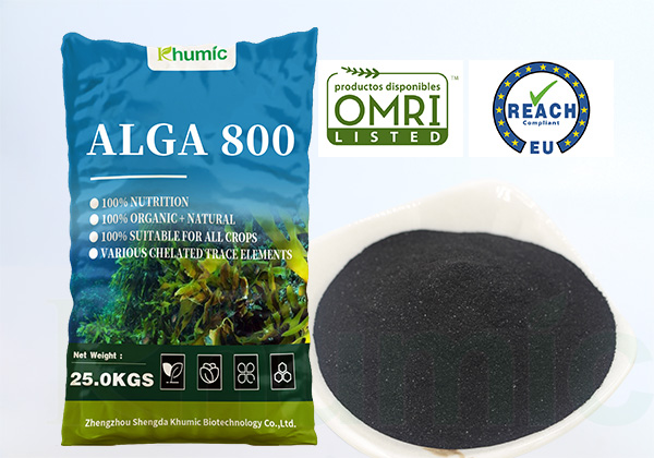 ALGA 800 (Seaweed Extract Powder)