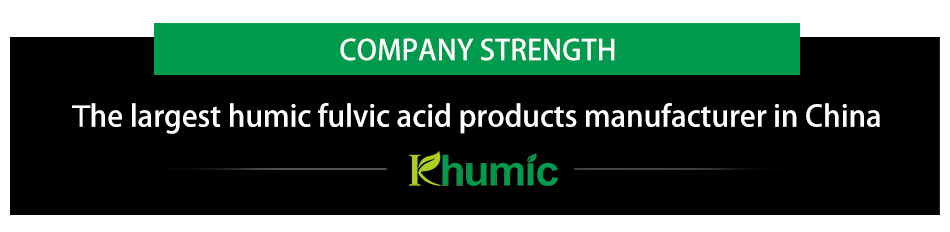 Company Strength 1.jpg