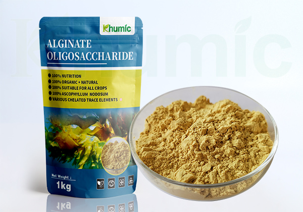 Alginate oligosaccharide (Brown algal oligosaccharides)