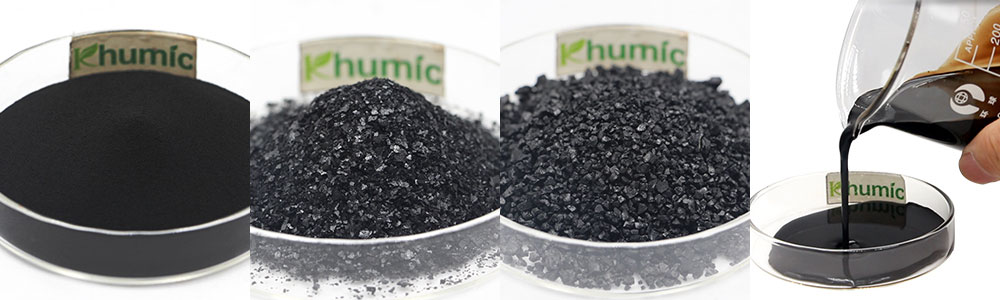 Humic acid fulvic acid play an import role in crops grow