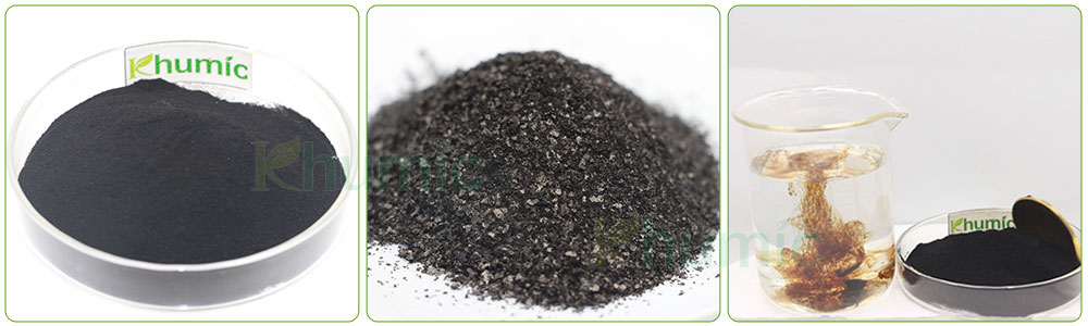 seaweed-extract-fertilizer-1.jpg