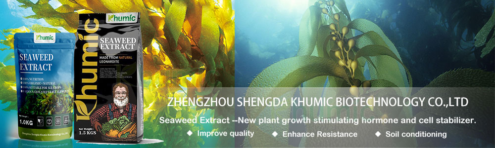 seaweed-extract-fertilizer-2.jpg