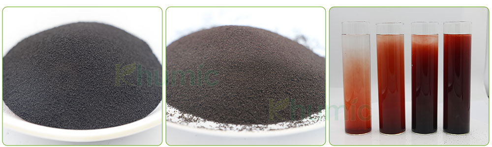 Application of EDDHA Iron Fertilizer in Agriculture