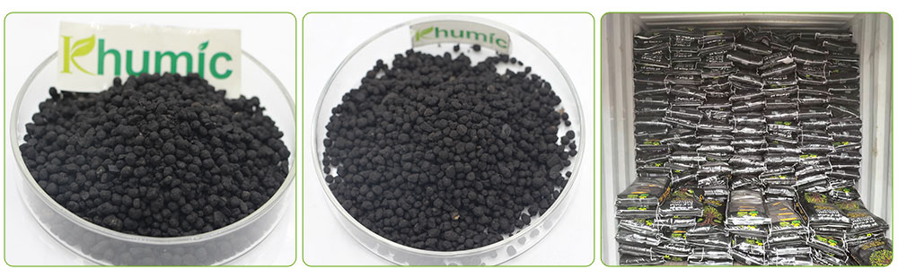 Active fulvic acid granule
