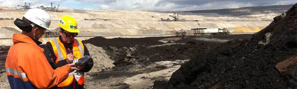 The source of Mineral source humic acid
