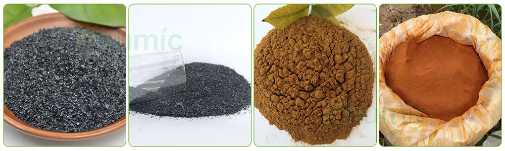 The difference between mineral humic acid and biochemical humic acid