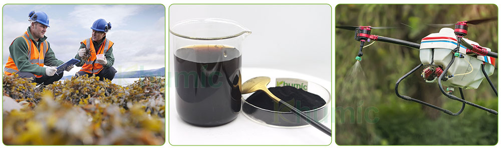 Khumic Seaweed extract fertilizer