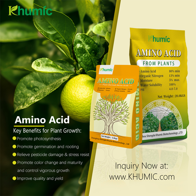 Application examples of amino acids in plant growth